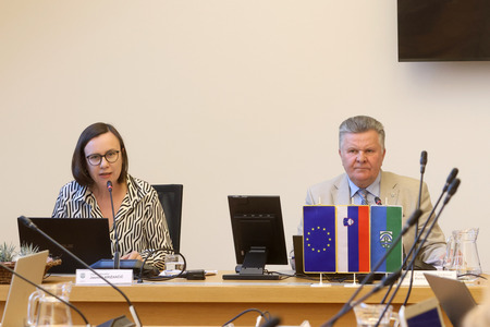 15. redna seja OS 06 Foto Ljubo Vukelič